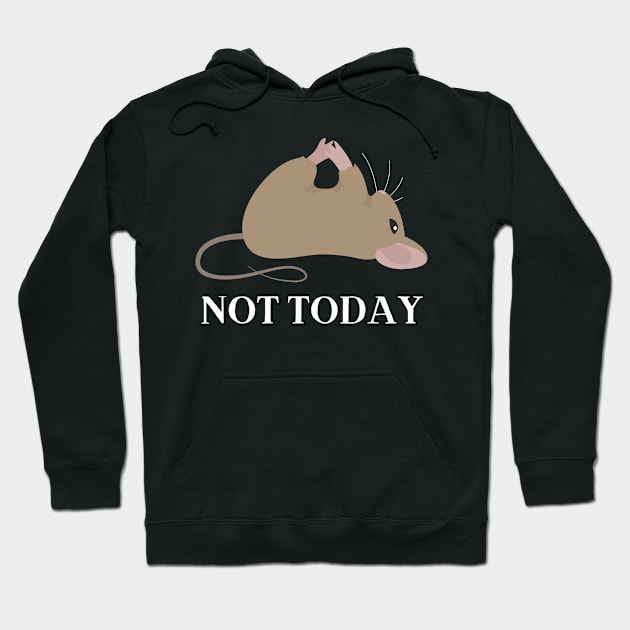 Lazy Mouse Nope not Today funny sarcastic messages sayings and quotes Hoodie by BoogieCreates